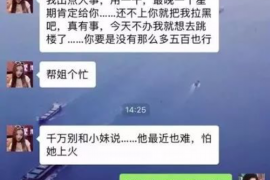 临潭临潭的要账公司在催收过程中的策略和技巧有哪些？